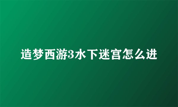 造梦西游3水下迷宫怎么进