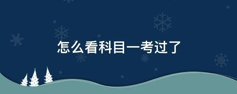 怎么看科目一考过了