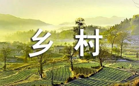 乡村的生活作文