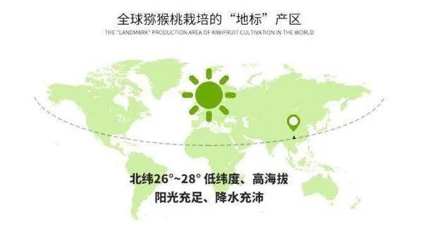 红心猕猴桃的正宗产地是哪里啊？