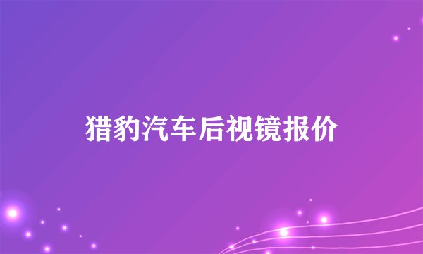 猎豹汽车后视镜报价