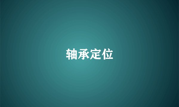 轴承定位