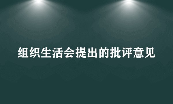 组织生活会提出的批评意见
