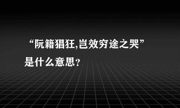 “阮籍猖狂,岂效穷途之哭”是什么意思？