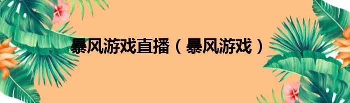 暴风游戏直播(暴风游戏)