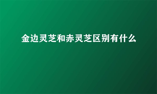 金边灵芝和赤灵芝区别有什么