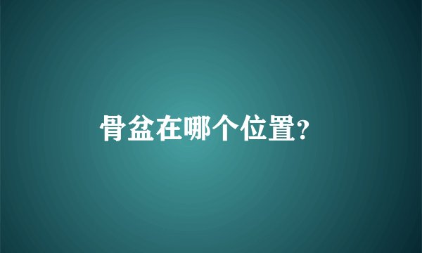 骨盆在哪个位置？
