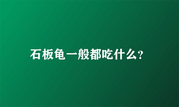 石板龟一般都吃什么？