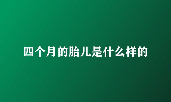 四个月的胎儿是什么样的