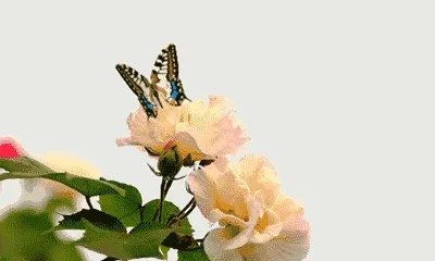 老婆和老妈发生矛盾,该怎么办?