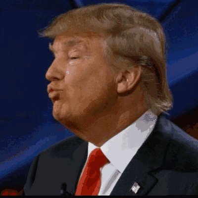 2020特朗普支持率多少?