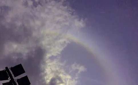 雨后的彩虹作文