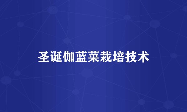 圣诞伽蓝菜栽培技术