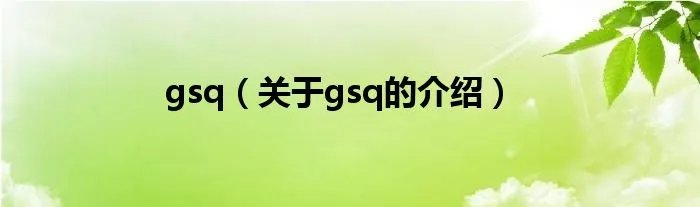 gsq（关于gsq的介绍）