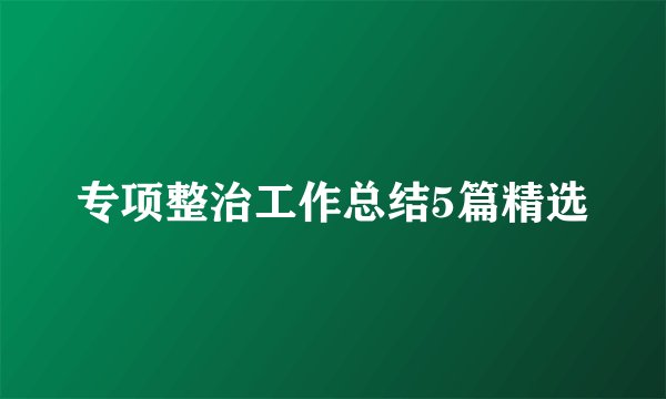 专项整治工作总结5篇精选