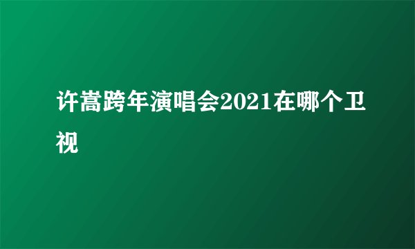 许嵩跨年演唱会2021在哪个卫视