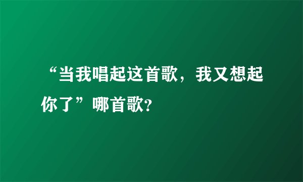 “当我唱起这首歌，我又想起你了”哪首歌？