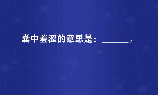 囊中羞涩的意思是：______。