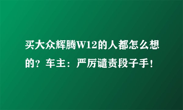 买大众辉腾W12的人都怎么想的？车主：严厉谴责段子手！