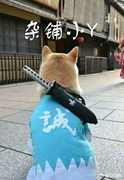 为何中国手游几乎全部免费？