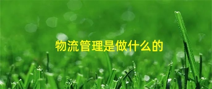 物流管理是做什么的