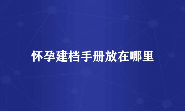 怀孕建档手册放在哪里
