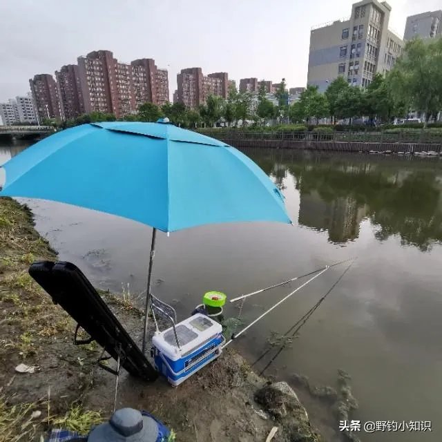 上海钓鱼为什么那么难？
