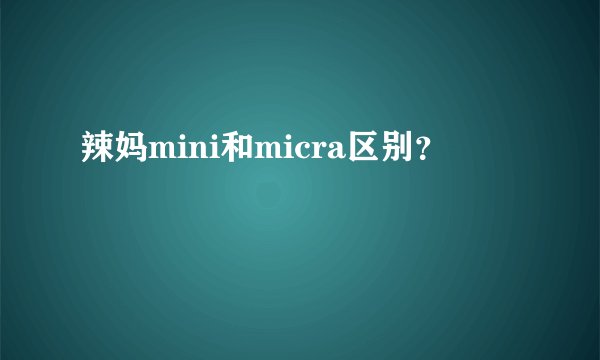 辣妈mini和micra区别？