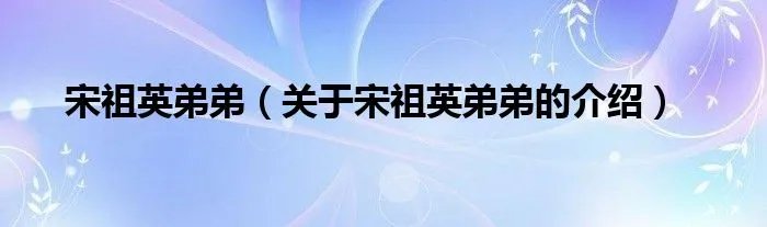 宋祖英弟弟（关于宋祖英弟弟的介绍）