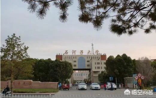 新疆大学和石河子大学相比,哪个好?