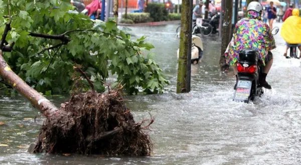此次上海暴雨是受什么影响造成的?