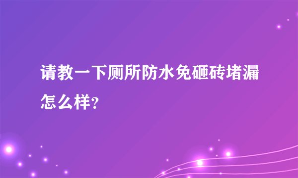 请教一下厕所防水免砸砖堵漏怎么样？