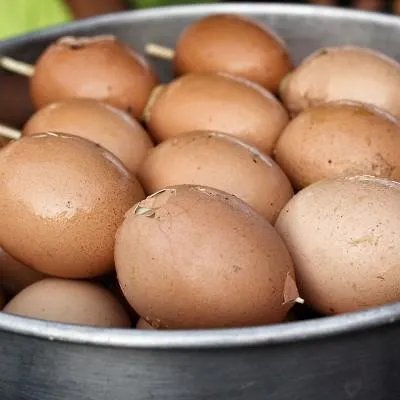 什么食物含dha