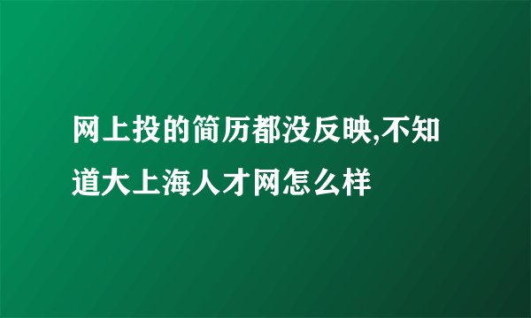 网上投的简历都没反映,不知道大上海人才网怎么样