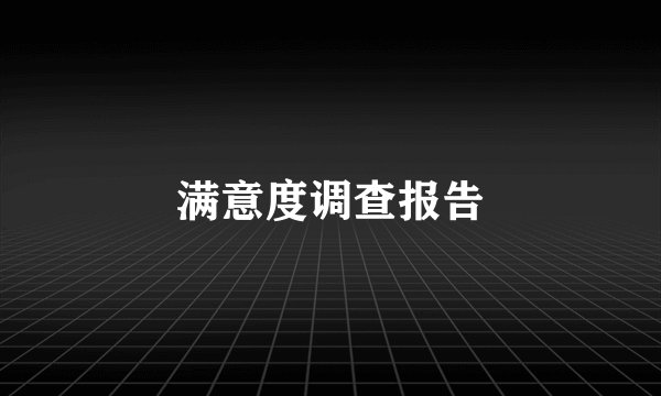 满意度调查报告