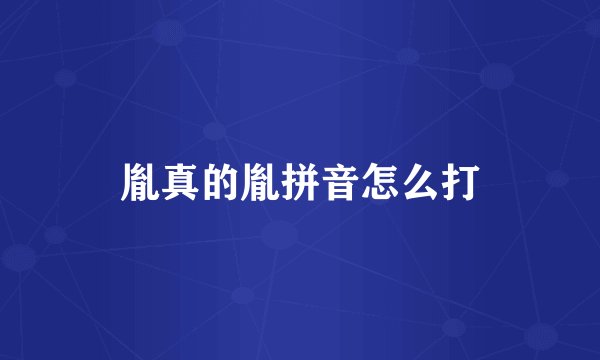 胤真的胤拼音怎么打