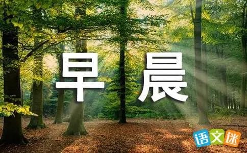 星期天的早晨