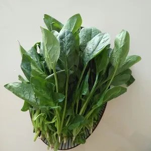 重庆火锅配菜有哪些