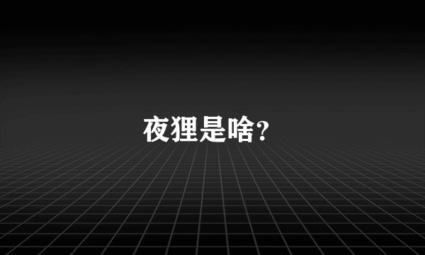 夜狸是啥？
