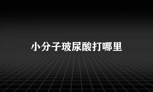 小分子玻尿酸打哪里