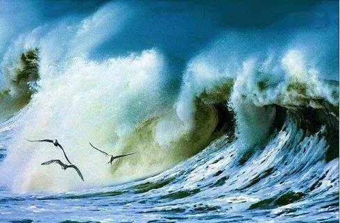海燕之歌的原文