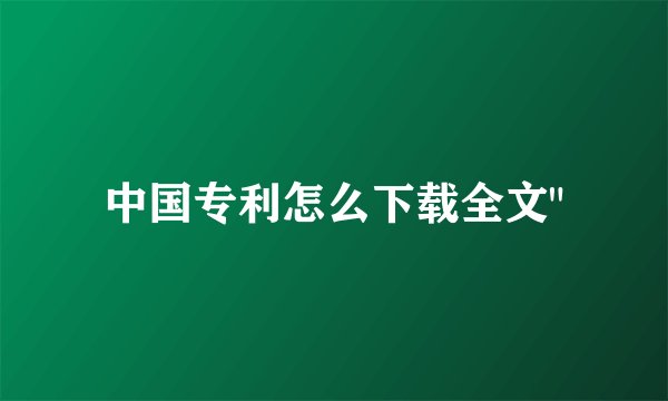中国专利怎么下载全文