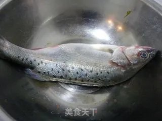 清清淡淡的清蒸海鲈鱼