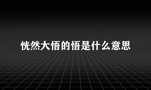 恍然大悟的悟是什么意思