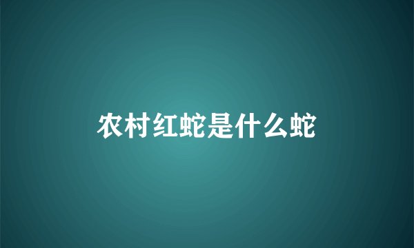 农村红蛇是什么蛇